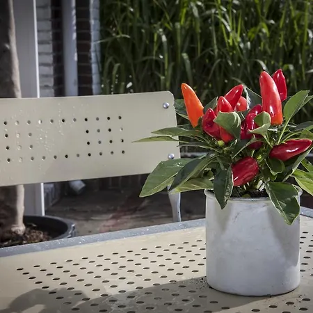 Savina Oase Nabij Centrum, Zee En Station *